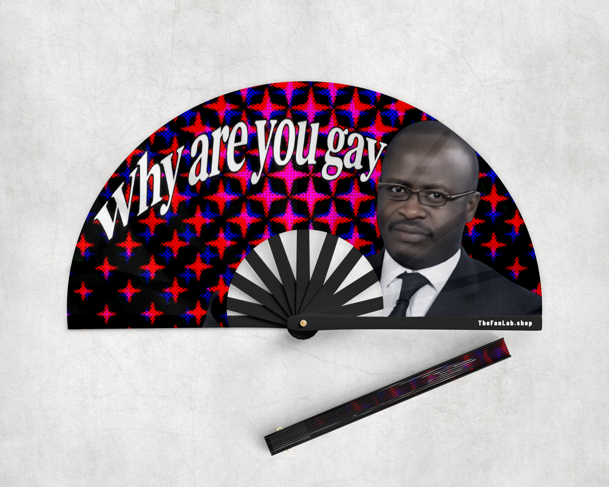 WHY ARE YOU GAY HAND FAN